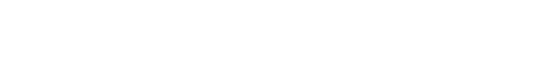 Fortress OS logo white